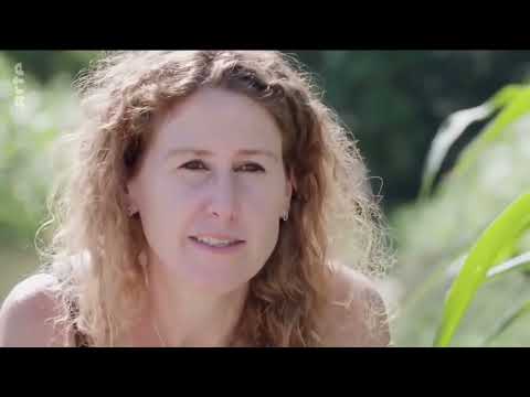 ZUCKER : "Macht dumm + süchtig" Doku im TV ARTE