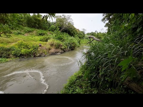 SE03EP180 - BINUHAY ang DUGO ng ISANG HAGIS ( Catch & Cook ) San Pablo City, Laguna