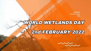 What Are WETLANDS?? - World Wetlands Day 2022