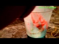 How To Make Slime With Tide How To Videos