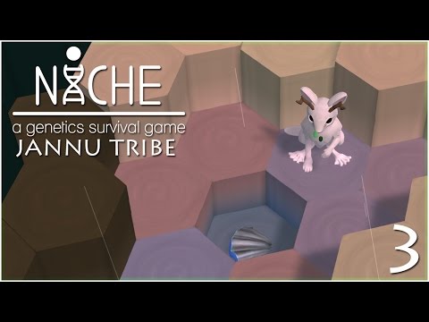 Discoveries in the Tidepools • Niche: Jannu Tribe - Episode #3