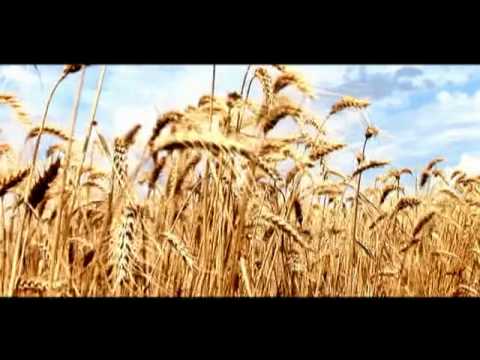 Basarabeanca - OMULE