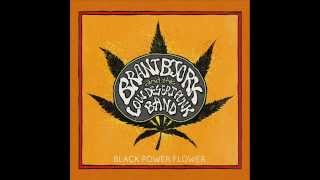 Brant Bjork and the Low Desert Punk Band - Buddha Time (Everything Fine)