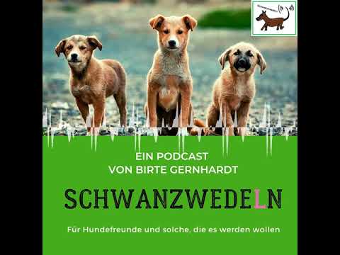 11 Welpenschutz - Schwanzwedeln