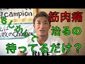 【フィジーク東日本チャンピオンが語る】筋肉を成長させる為の考え方【筋肉痛】