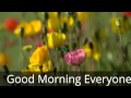 Good Morning Everyone 