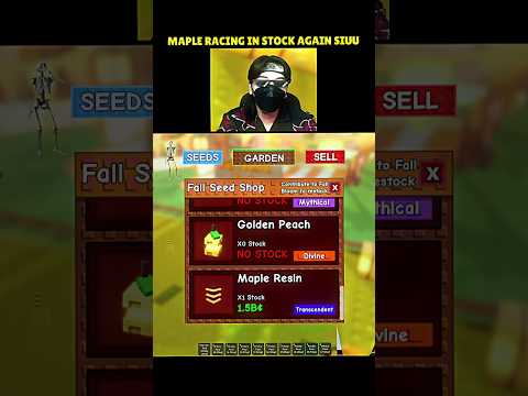 New Transcendent Seed Maple Resin in Stock at Grow a Garden