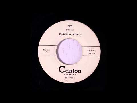 Johnny Flamingo - I  45 rpm!