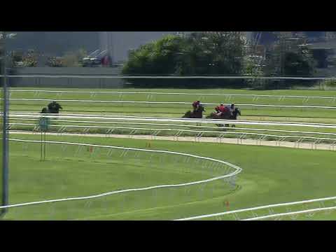 Heat 13   Doomben Jumpouts 0212