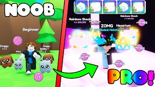 🥳 Went From NOOB to MASTER (HATCHED BEST PET) in Bubble Gum Simulator INFINITY!