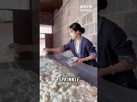 Process of making glutinous rice wine🍶
