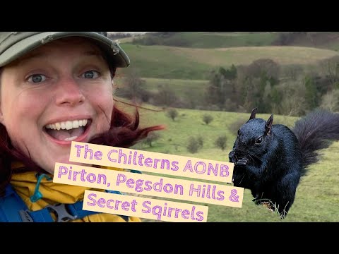SECRET SQUIRRELS | THE CHILTERNS | PEGSDON HILLS | PIRTON | SOLO HIKING #outdoors #explore #walking