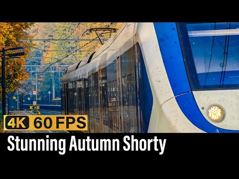 Train Cab Ride NL / Stunning Autumn Shorty / Baarn - Soest - Utrecht / SLT Sprinter / Nov 2025