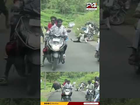 വാൽപ്പാറയിൽ കാട്ടുപോത്തിന്റെ ആക്രമണം; ബൈക്കിലെത്തിയ വിനോദസഞ്ചാരികളെ ഇടിച്ച് വീഴ്ത്തി