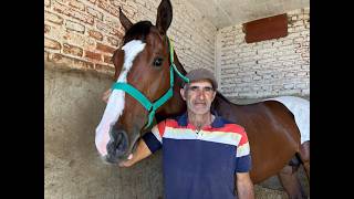 San Juan palpita la 74ª Clásica Sarmiento con todo listo en el hipódromo