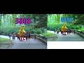 Sesame Street Big Bird And Baby Bear End Up Playing Together