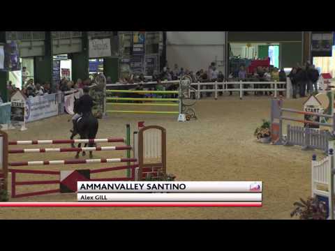 Showjumping -  Alex Gill -SCOPE 2014