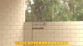 CAMPEONATO ESTADUAL FEBRAPS 2024 - SEXTA ETAPA - SOROCABA II - SP