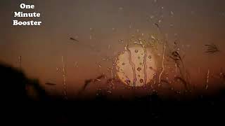 Download lagu Jangan Sedih Menjomblo Ustadz Hanan Attaki One Minute Booster mp3 Download lagu Jangan Sedih Menjomblo Ustadz Hanan Attaki One Minute Booster mp3