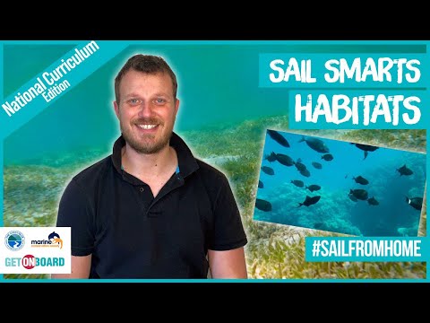 HABITATS  - SAIL SMARTS - National Curriculum Edition - Fun Learning Activity Ecosystem Biodiversity