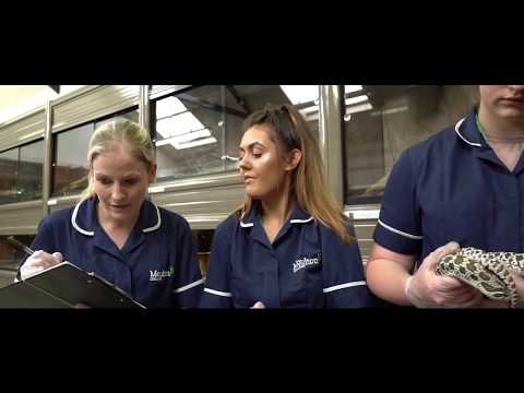 Welcome to your future at Moulton College! - Higher Education