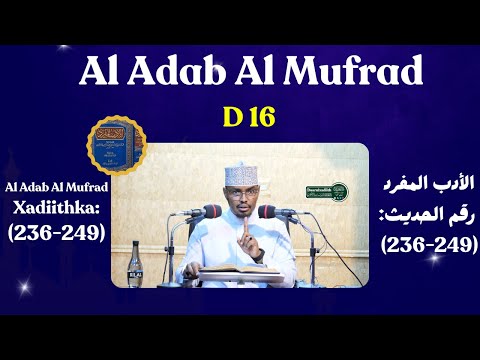 D 16 Al Adab Al Mufrad Xadiithka (236-249) || Sh Xassaan Abu Salmaan