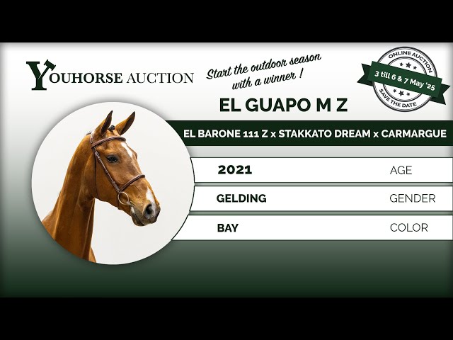 El Guapo M Z