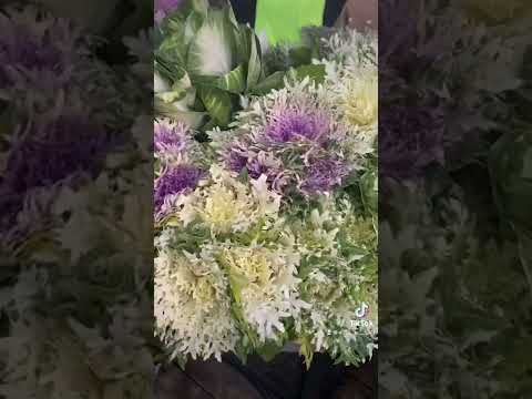 ١٥ يناير، ٢٠٢٢