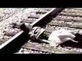 I Don't Want You Anymore - Fiance 