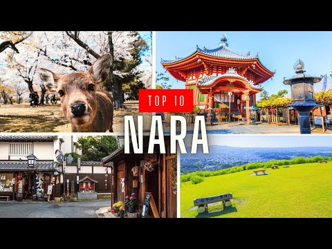 Top 10 Things to Do in Nara, Japan