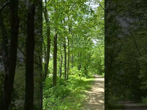 Ryerson Woods Conservation Area, Riverwoods, IL