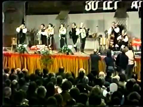 Jubiläum 1983: 30 Jahre Ansambel bratov Avsenik (Teil 3)