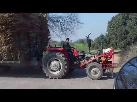 Massey ferguson with heavy sugar cane | Sugar cane loaded 2017