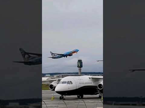 Boeing 737-8CT WestJet (Walt Disney World - Frozen Live) flight WJA106 from Vancouver to Calgary