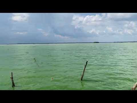 Bán gấp lô đất ngộp view hồ 1600m2 có sẵn 200m2 thổ cư tại Xã Minh Hòa,Dầu Tiếng