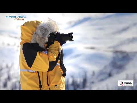 Arctic Circle Tour:  Nature Tours Yukon's  Canadian Signature Experience Video