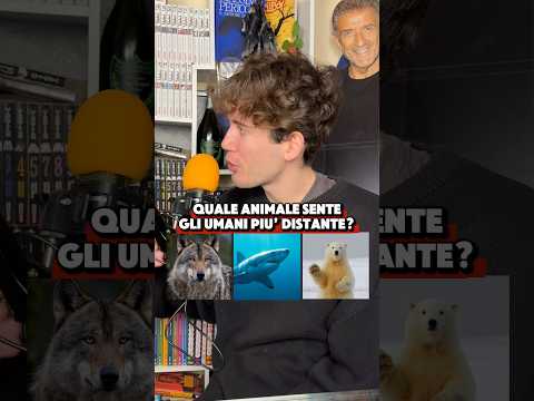 Qual É L’Animale Con L’Olfatto Migliore?