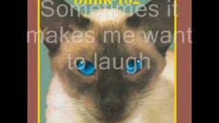 Blink 182 - M+M&#39;s lyrics