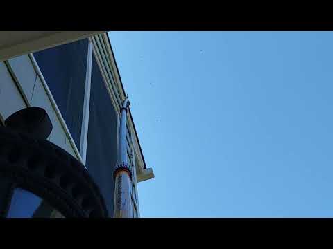 Yellow Jackets Swarming Just Below the Roof in Hillsborough, NJ