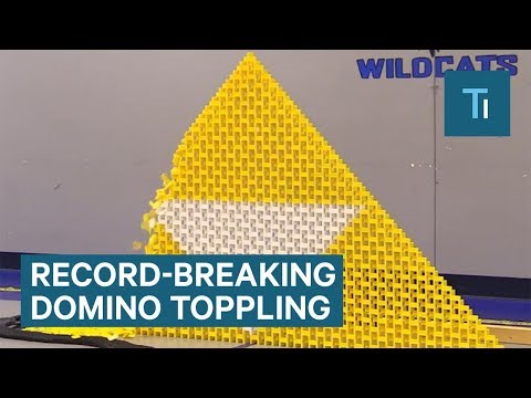 19 domino artists created this display of 250,000 dominoes