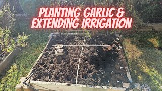 🧄 Garlic In the Ground! Plus, a DIY Irrigation Upgrade 🚿 || DHBG