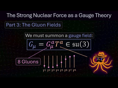 The Strong Nuclear Force as a Gauge Theory, Part 3: The Gluon Fields