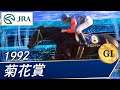 View 29 菊花賞 ライスシャワー