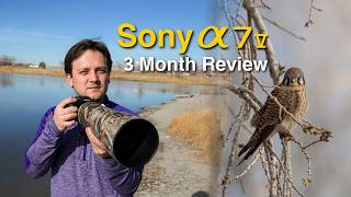 A Birder and Wildlife Enthusiast's Review of the Sony A7V