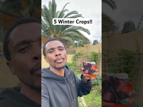 5 Crops you need to start now for a successful winter garden 🪴🙏🏾
