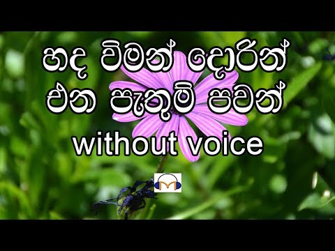 Hada Viman Dorin Karaoke (without voice) හද විමන් දොරින්