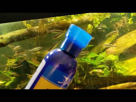 YouTube video about: Will bettafix hurt other fish?