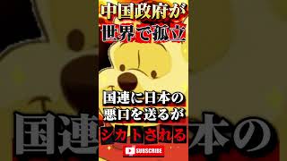 習近平がシカトされ孤立 #政治 #ニュース #報道 #高市早苗 #小野田紀美 #参政党 #立憲民主党