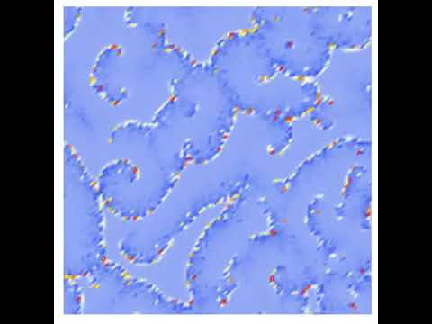 基礎理工学科 The coupled map lattice model with an excitable local map