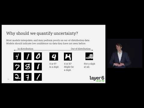 Quantifying the Uncertainty in Model Predictions